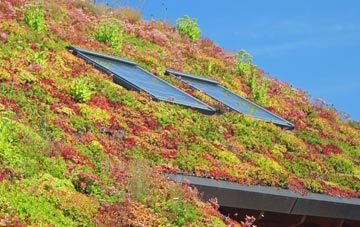 Sevenoaks living roof systems